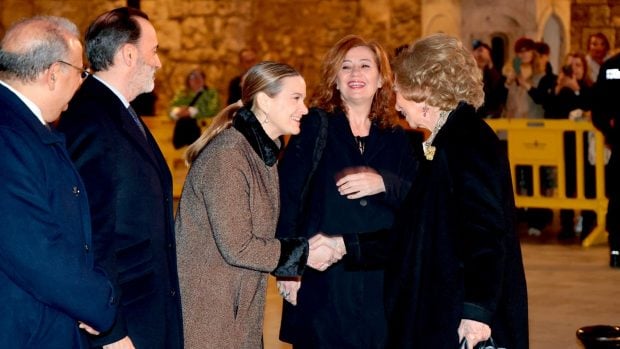 reina sof&iacute;a proyecto hombre