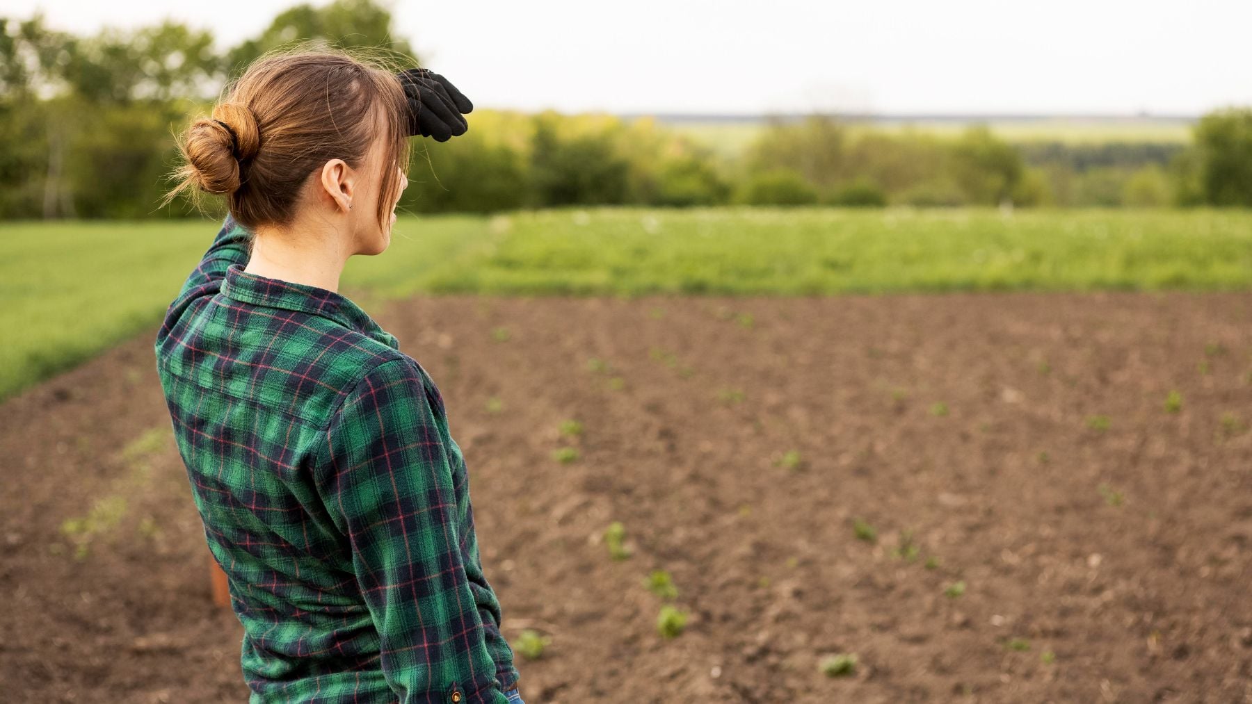 Miedo entre los propietarios de tierras: el Gobierno podrá expropiar terrenos agrícolas para construir nuevas centrales de bombeo
