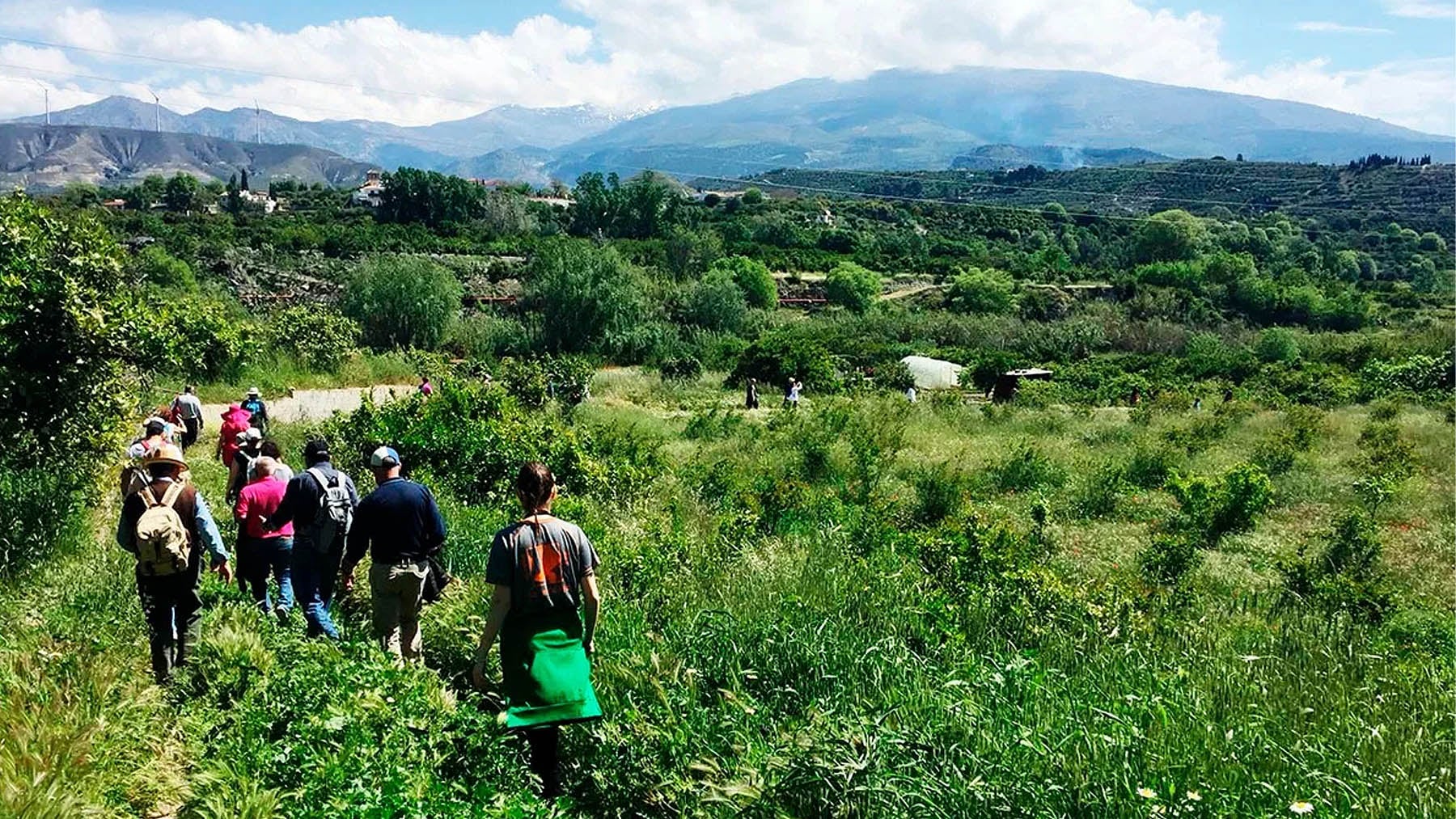 La privilegiada ruta senderista de Granada rebosante de naranjos en flor: hay que hacerla siempre en primavera