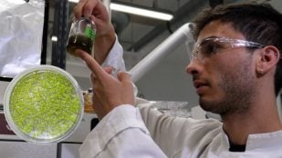 El científico Tiago Ramalho examina el digestato en el laboratorio. (Foto: ZARM, Universidad de Bremen)
