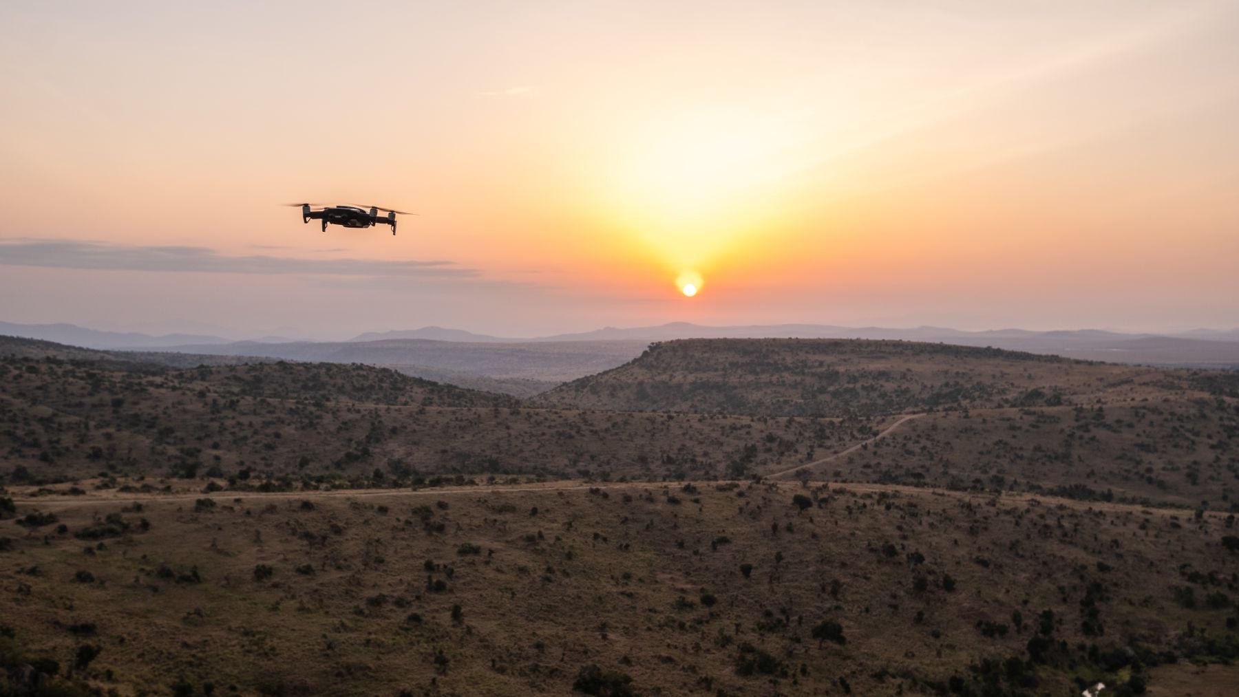 Investigadores chinos desafían las leyes naturales con drones inspirados en la naturaleza: 256 minutos de autonomía