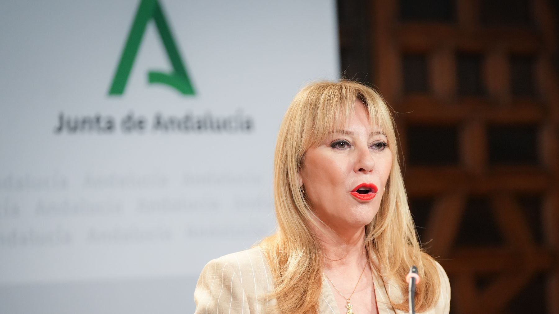 La consejera de Economía, Hacienda, Fondos Europeos y Diálogo Social de la Junta de Andalucía, Carolina España. (Europa Press)