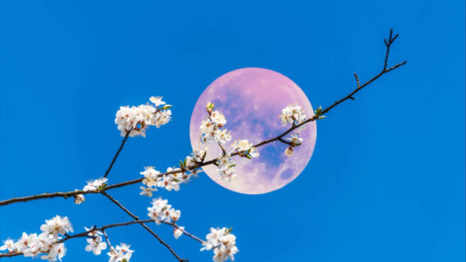 Los científicos instan a mirar al cielo mañana, miércoles 2 de abril, porque llega la Luna Rosa a España y es un espectáculo único