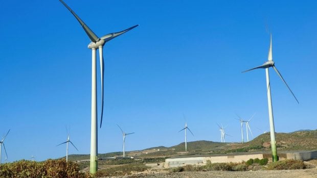 Desmontado el mito: las centrales el&eacute;ctricas f&oacute;siles matan m&aacute;s aves que las turbinas e&oacute;licas 