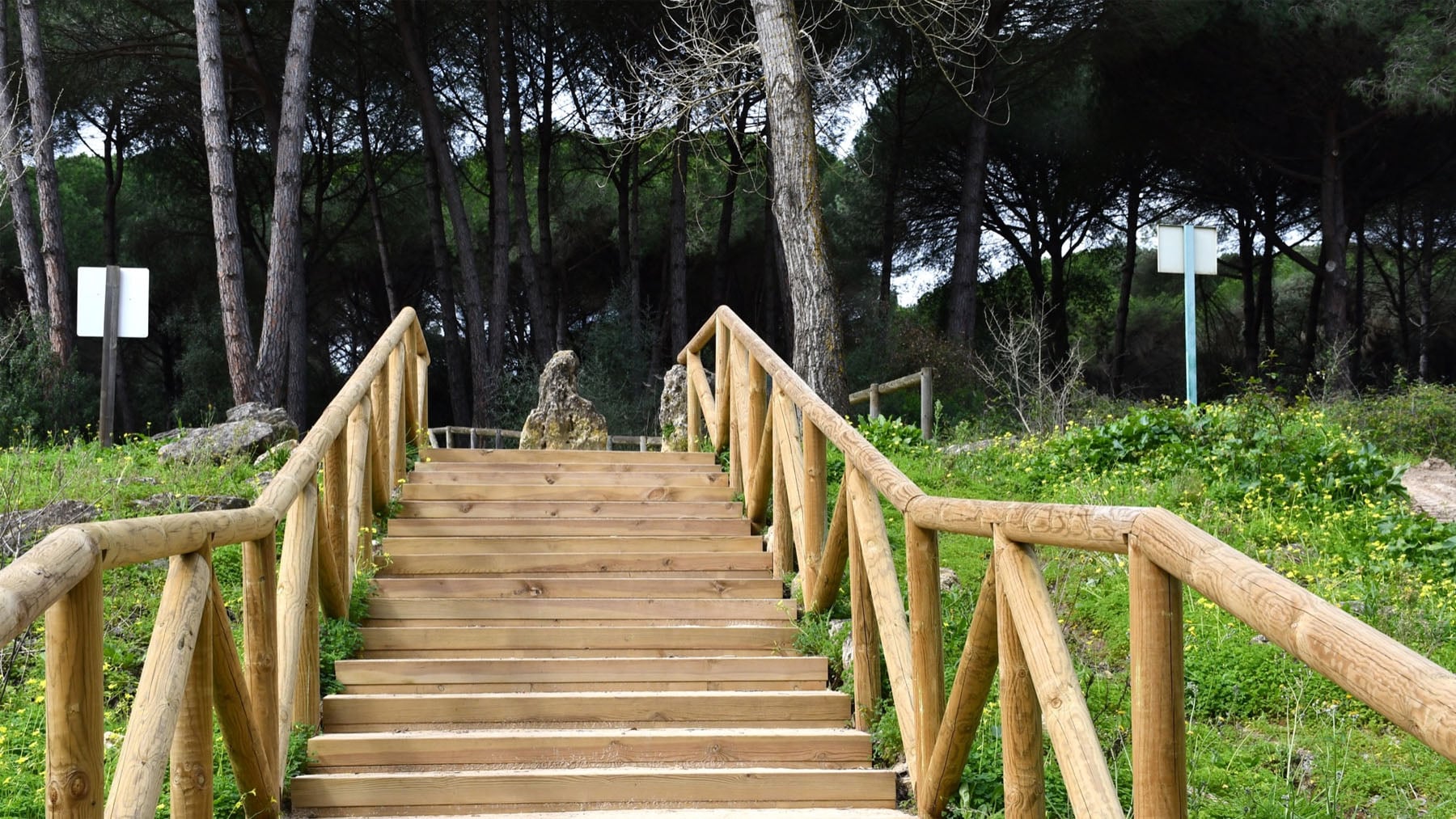 Sendero del Arroyo de la Alhaja. Foto: Ayuntamiento  de San Roque.