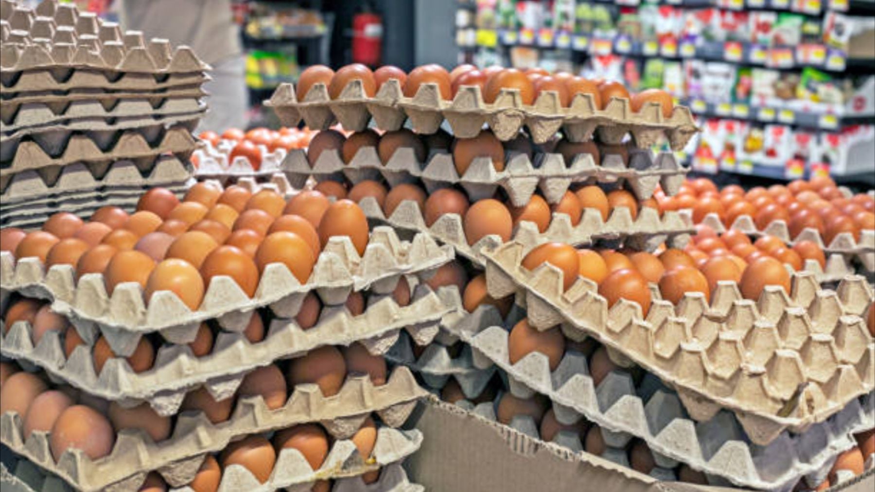 El aviso de la OCU por los huevos camperos: es la mentira más grande jamás contada