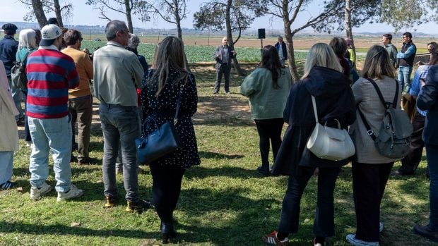 Borja Valparda, matemático