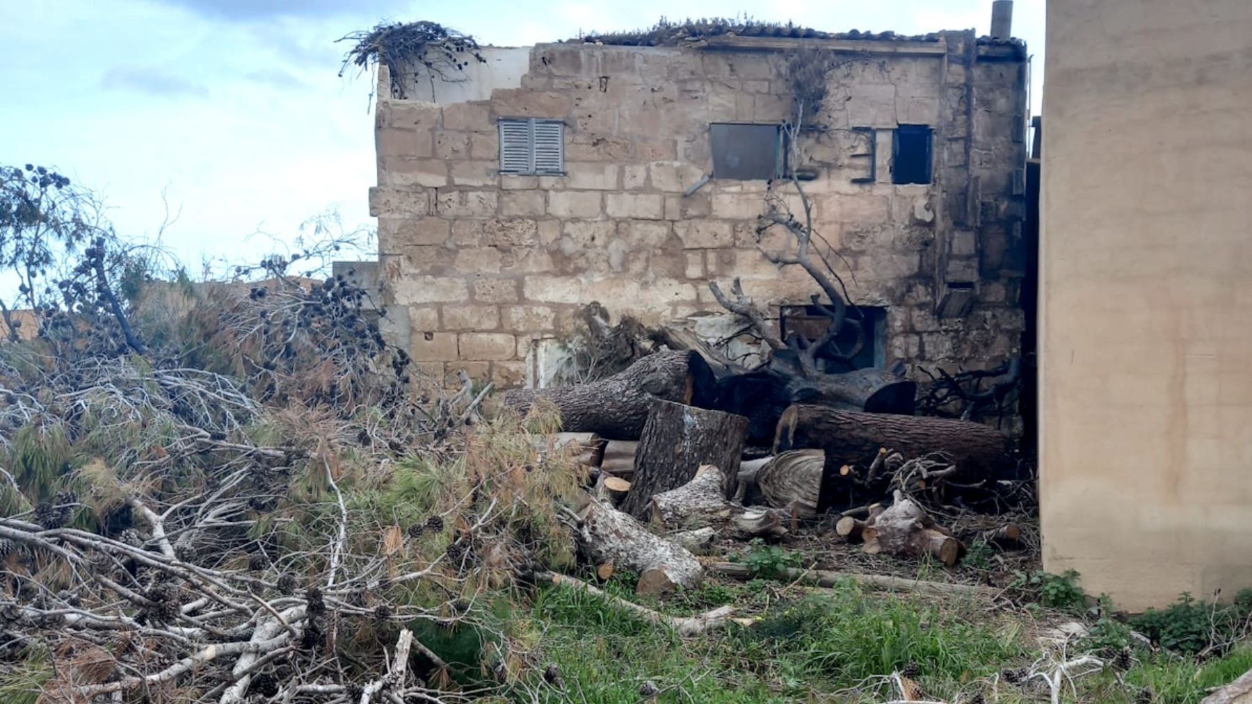 Imagen facilitada por la Policía Local de Palma del lugar donde sucedieron los hechos.