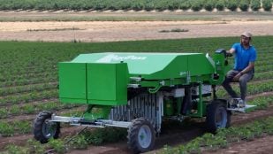 Robot, IA, Israel, agricultores