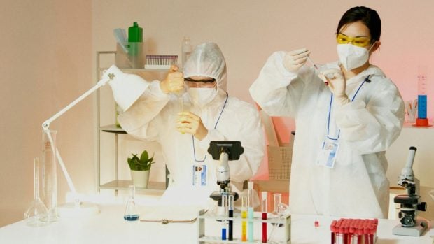 &iquest;Cu&aacute;nto sufren las ratas de laboratorio? El bienestar animal se abre paso en la industria farmac&eacute;utica