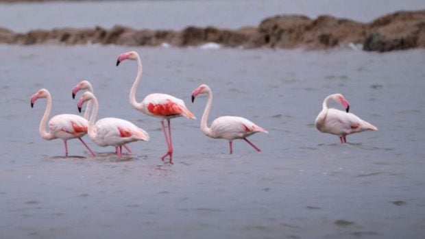 Cinco destinos naturales imprescindibles en Espa&ntilde;a para celebrar el D&iacute;a Europeo de los Parques