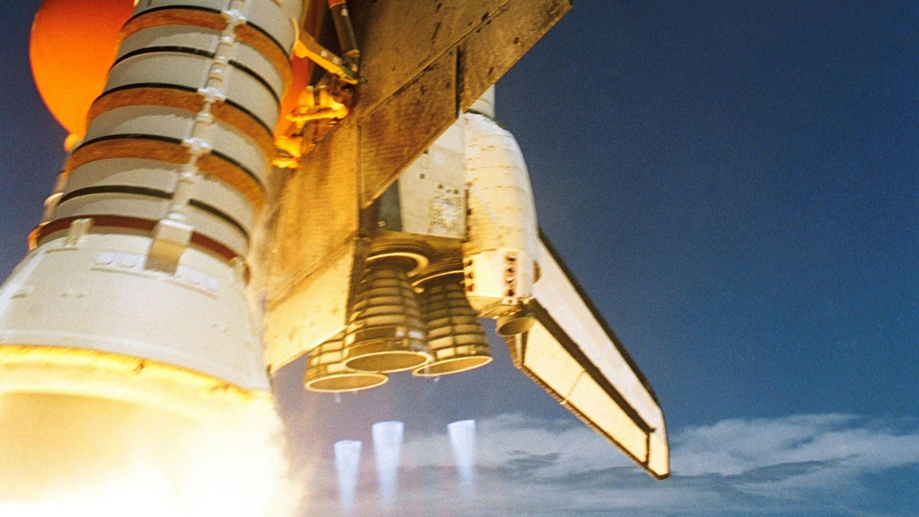 Hace 55 años la NASA envió una semilla al espacio con la misión Artemis I, ahora ha crecido un árbol en Texas