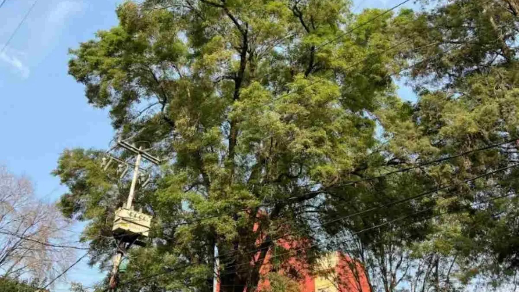 Fresno Eugenio. Foto: Agencia 24 mm