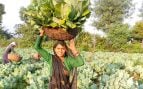Cuando las mujeres rurales lideran el cambio en una región empobrecida de la India