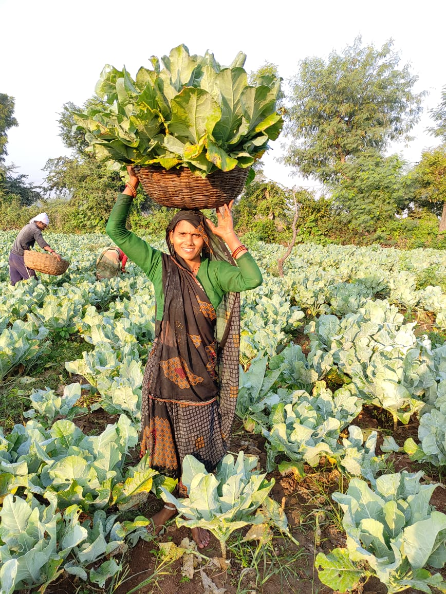 Cuando las mujeres rurales lideran el cambio en una región empobrecida de la India