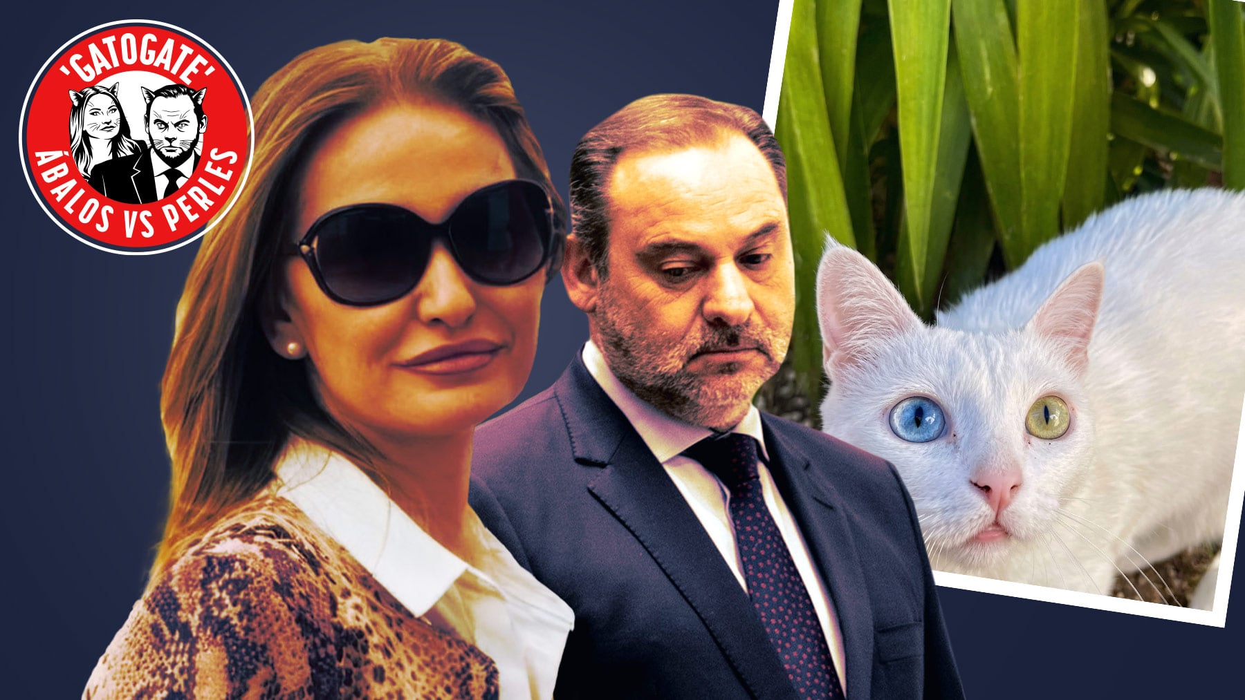 La ex mujer de Ábalos denuncia que alguien suplantó su identidad para registrar a nombre del ex ministro la gata Chloe