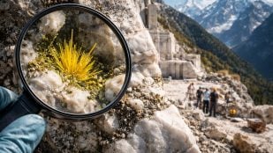 Alpes, mineral, ciencia, descubrimiento