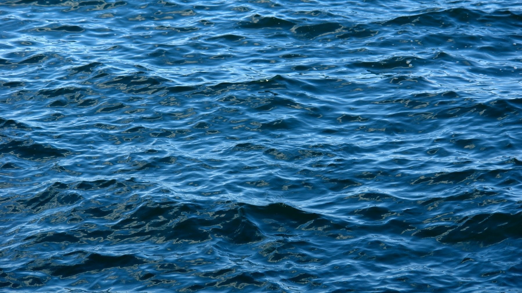 Descubren un gigantesco acuífero bajo el Atlántico: un recurso que podría suministrar agua a Nueva York durante ocho siglos