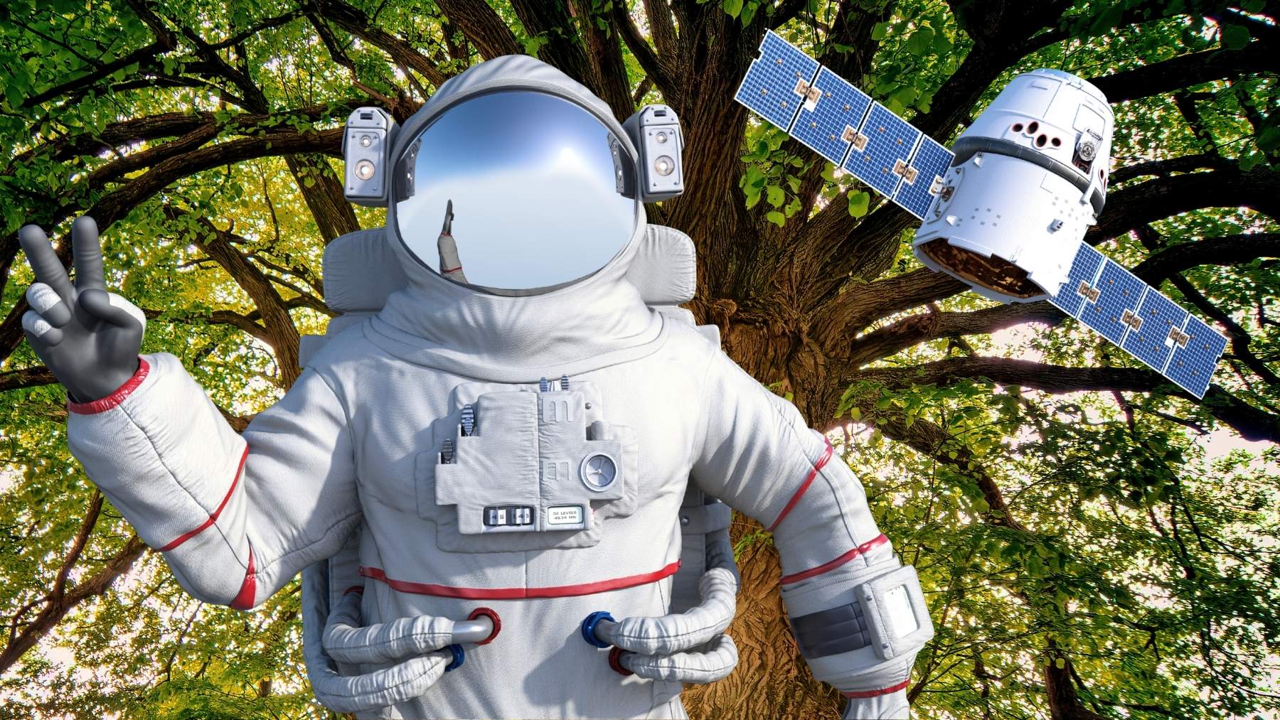 Los biólogos no dan crédito: crece un árbol en Texas gracias a una semilla que viajó más allá de la Luna en Artemis I