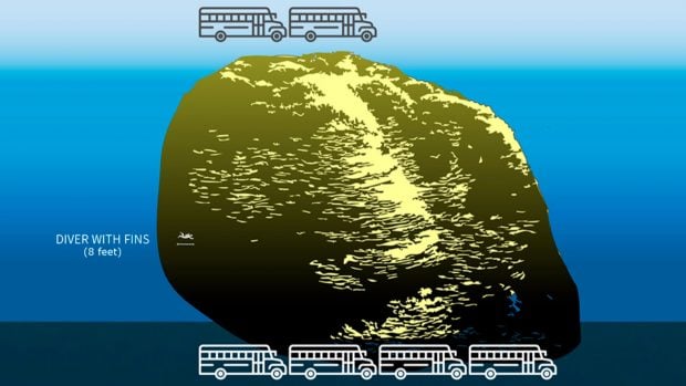 Escala aproximada. Imagen: NOAA Fisheries.