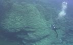 Un investigador de la NOAA nada frente al enorme coral en la Fosa de las Marianas. Foto: NOAA Fisheries.