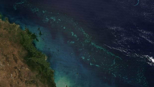 Gran Barrera de Coral desde el espacio. Foto: NASA.