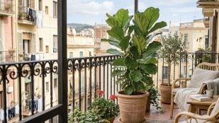 ambiente de tu balcón