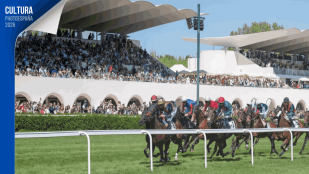 Carreras Hipódromo Zarzuela