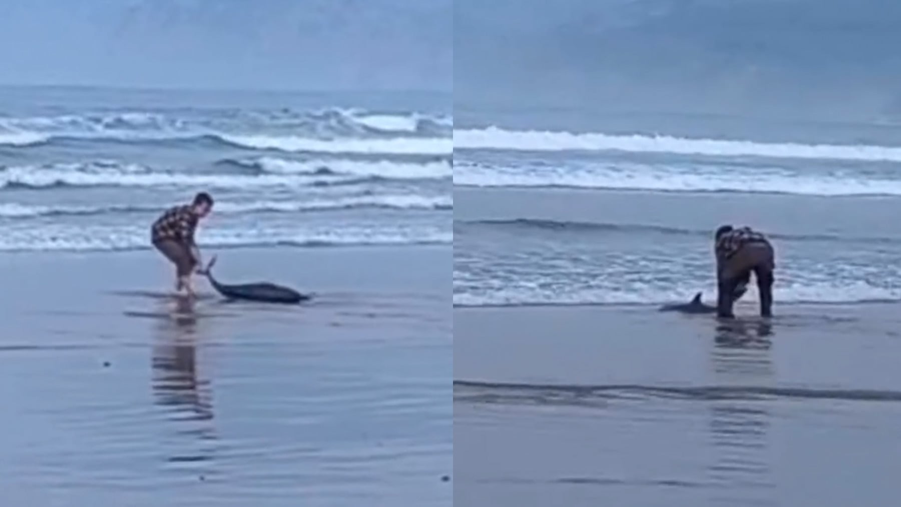 Imagen del vídeo difundido por la cuenta de Instagram de Revarca Cantabria.