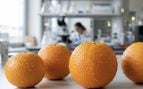 naranjas, laboratorio, ciencia
