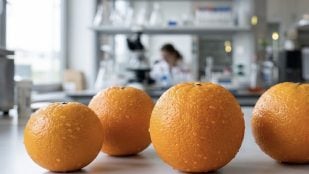 naranjas, laboratorio, ciencia