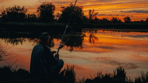 Ríos sin peces: casi la mitad de las especies europeas de agua dulce están en peligro de extinción