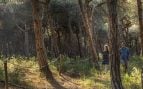 uno de los bosques más protegidos y frágiles de España
