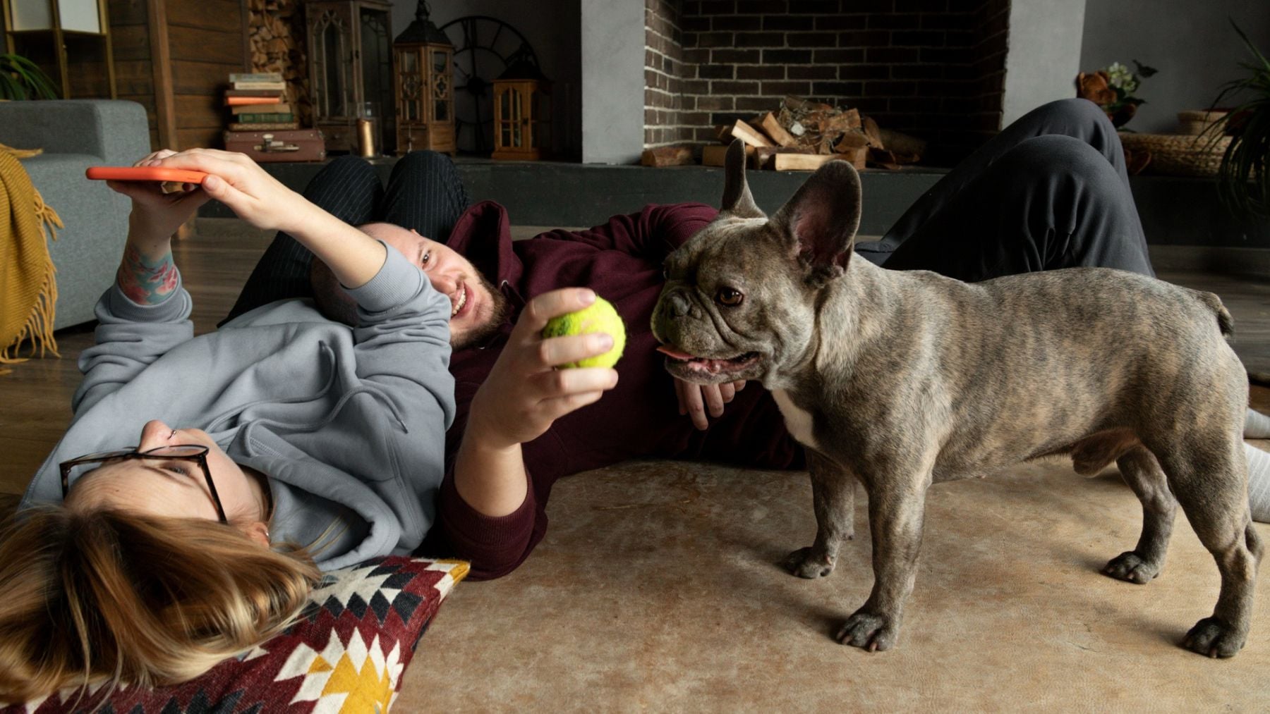 Los expertos avisan a los dueños de perros: cuando llueve mucho, este juego cansa más que una hora de carrera