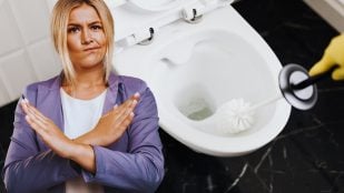 Las escobillas de baño