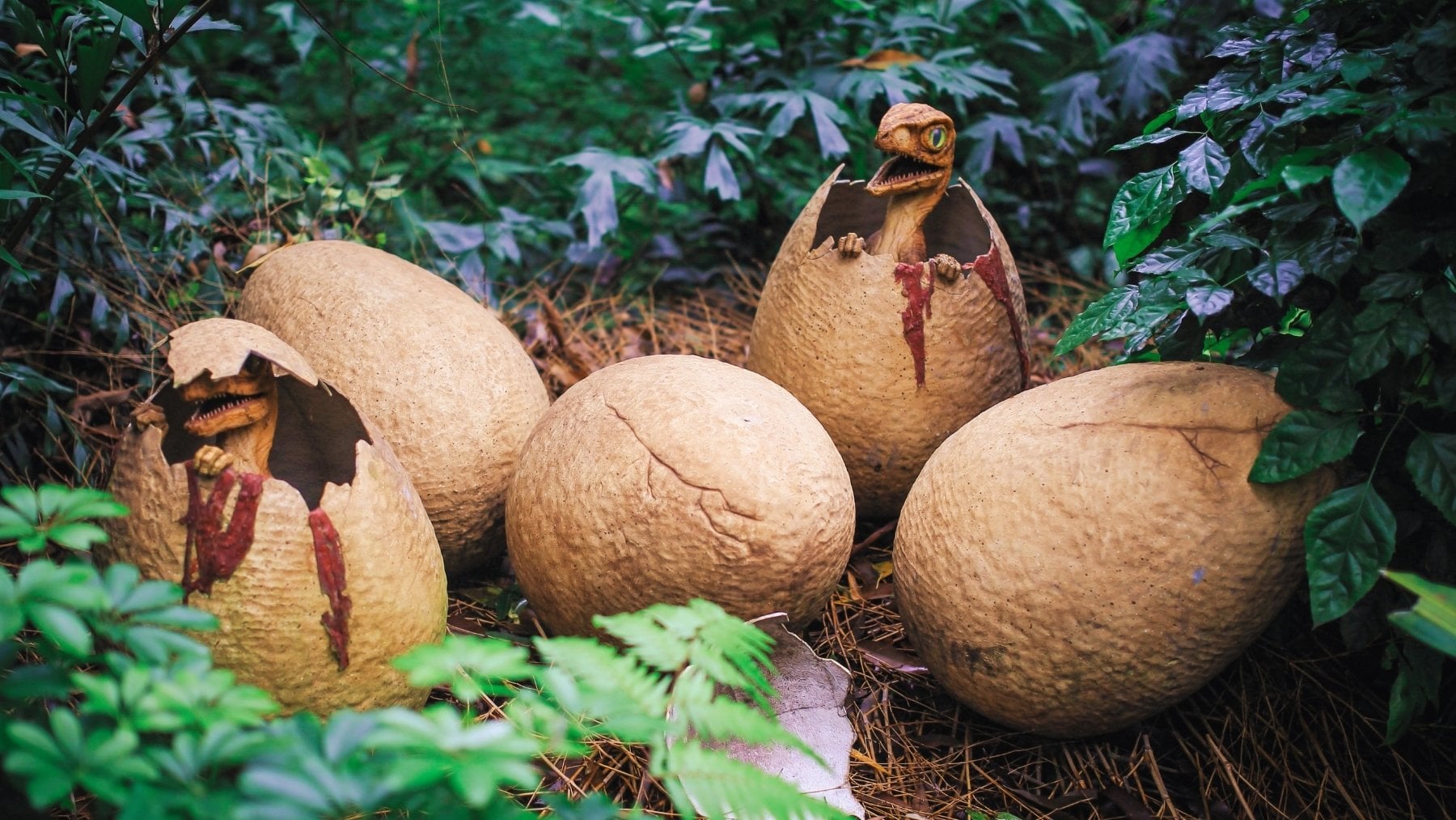 China desafía las leyes naturales: descubren embriones de dinosaurio de 190 millones de años con proteínas conservadas