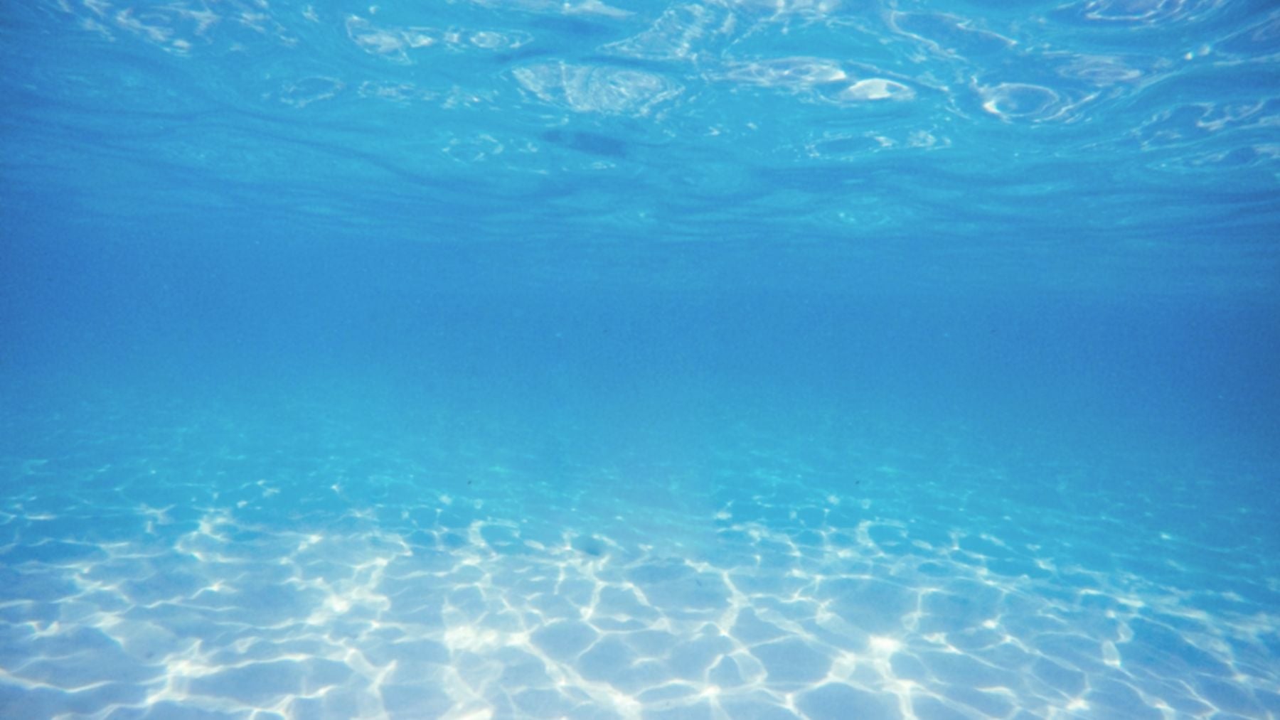 ¿Por qué los científicos están hundiendo enormes bloques de hormigón en el mar? El motivo detrás de esta acción aparentemente imprudente