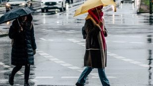 Cómo se escribe dana en español, dana o DANA según la RAE, palabra del año en la RAE, Dana palabra del año, palabra del año RAE en 2024.