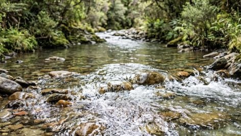 Recreación de un río.