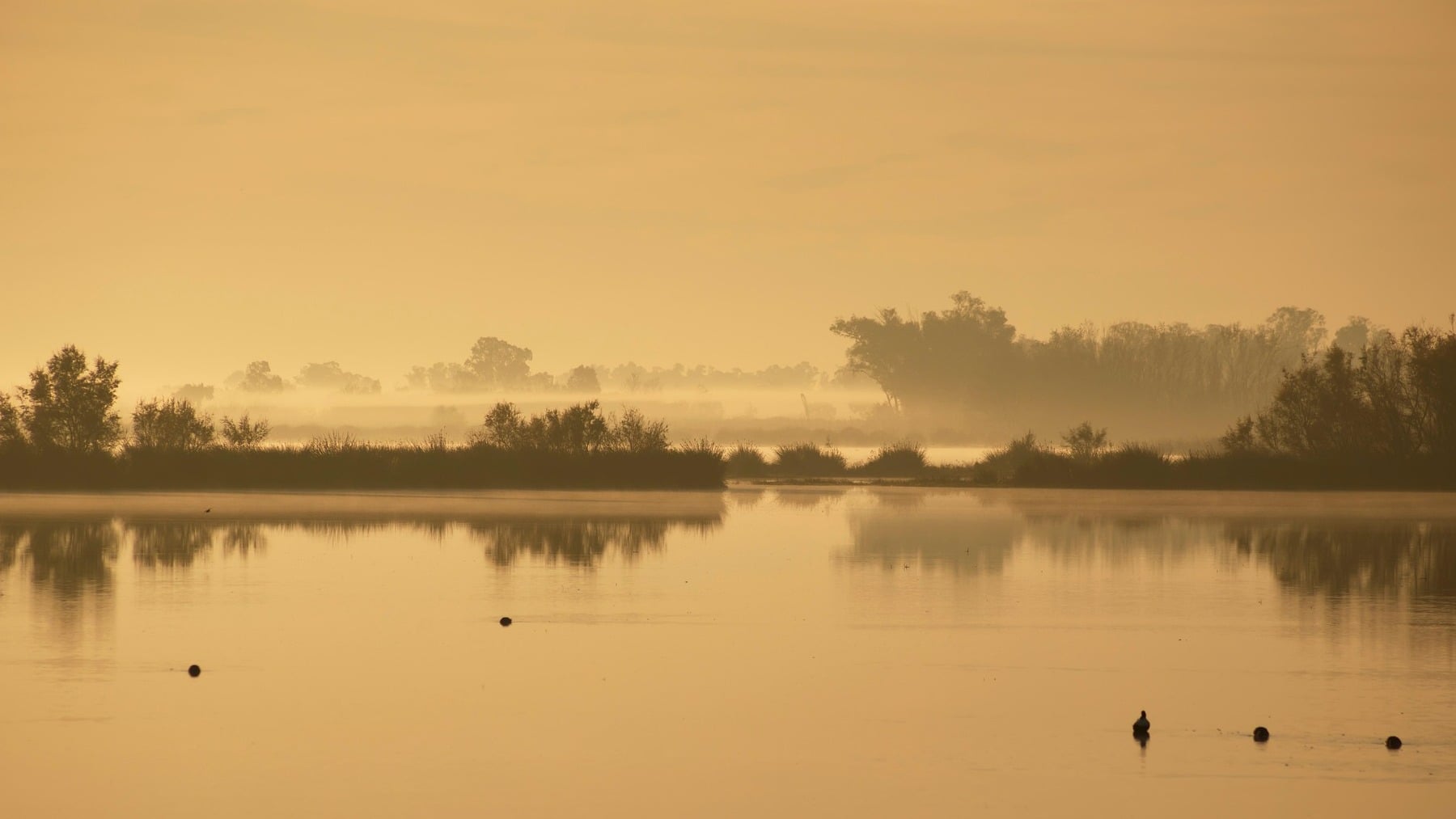 El medioambiente español está de enhorabuena: Doñana tiene una nueva laguna de 50 hectáreas para sus aves