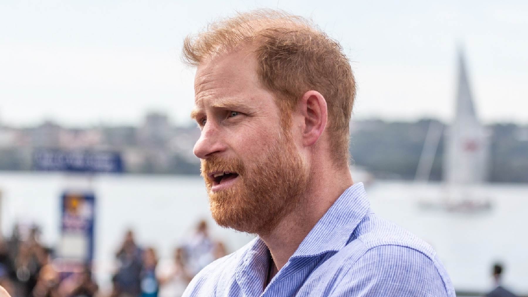 Las polémicas declaraciones del príncipe Harry sobre su hijos: Cuanto más me critican, más ganas tengo de alzar la voz