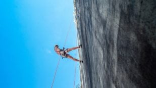 Cómo se escribe en español resilencia o resiliencia, resiliencia en la RAE, origen de la palabra resiliencia, qué significa en español resiliencia según la RAE.