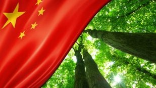 Cinturón verde de China