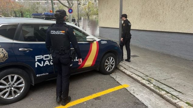 Un argelino muy violento arrastra por el suelo a una mujer mayor en Palma para robarle el teléfono móvil