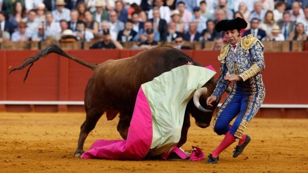 Morante de la Puebla, Maestranza