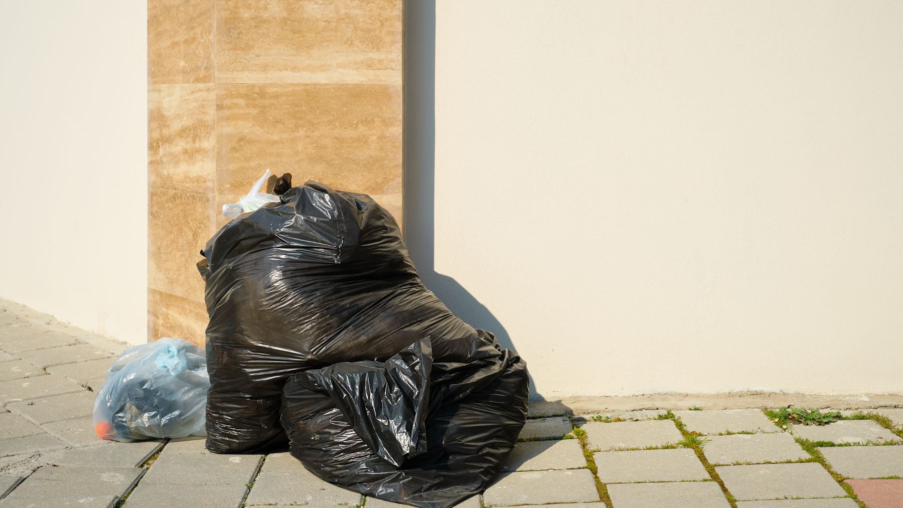 ¿Puedo dejar la basura en el rellano? Esto es lo que dice la Ley de Propiedad Horizontal y lo avala el artículo 9.1