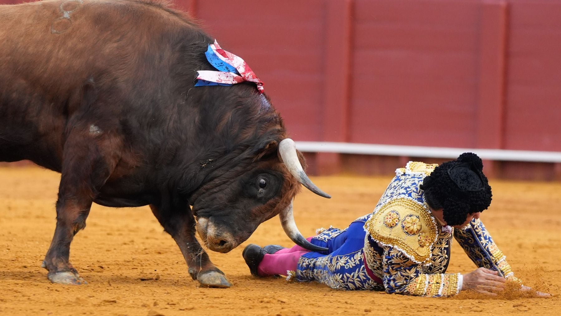 Octavio Mulet, el cirujano que operó a Morante en La Maestranza: Las lesiones son complejas, hubo que hacer una reparación de esfínteres