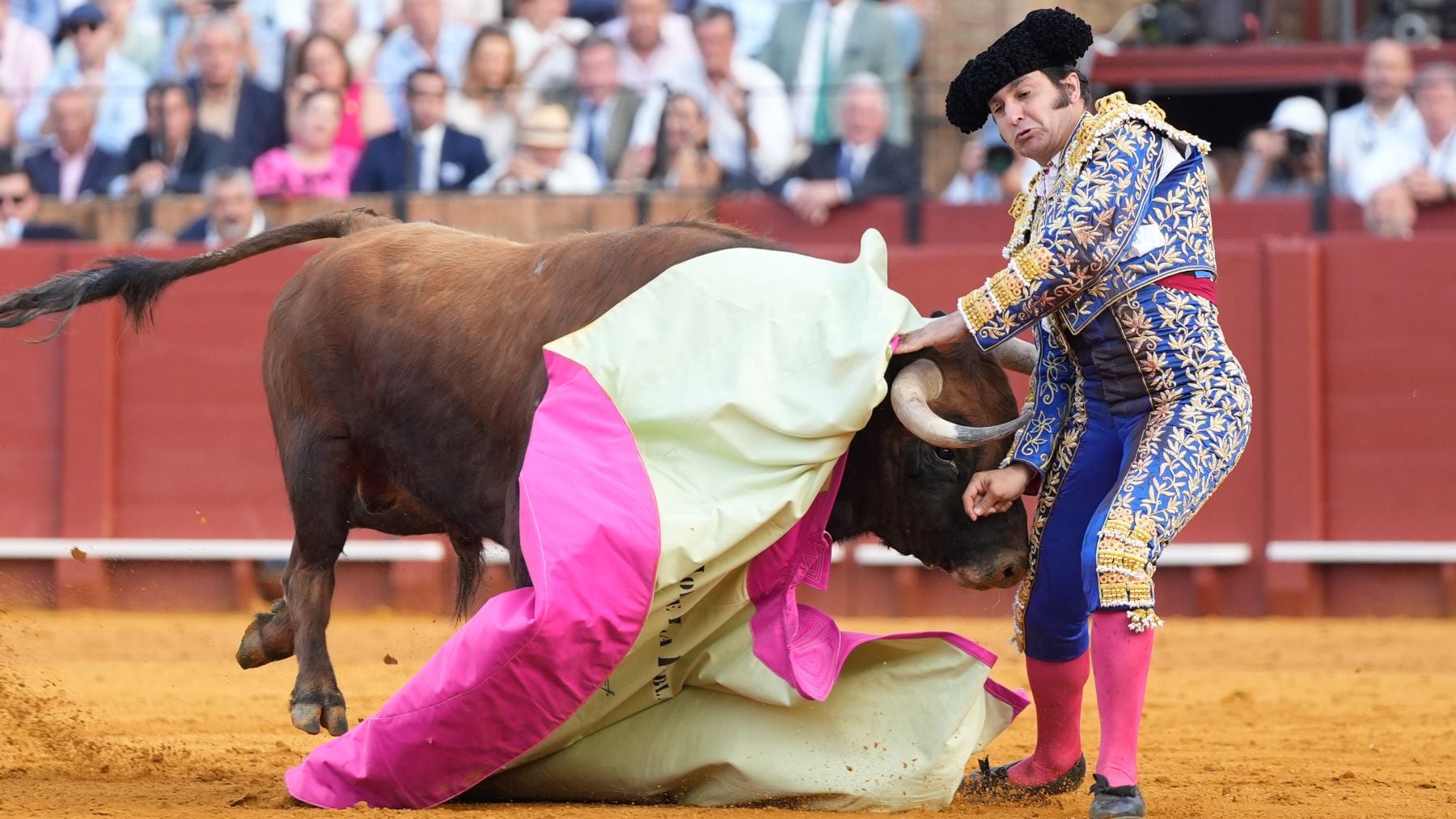 Morante pasa su primera noche en la UCI estable y sin fiebre tras sufrir una cornada en el recto