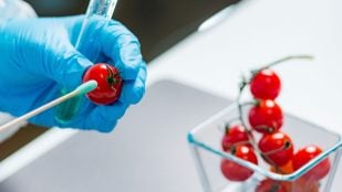 Sistema elimina pesticidas de la fruta