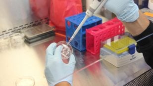 Investigación del CSIC para purificar hidrógeno, CSIC crea membrana para purificar hidrógeno, invento del CSIC para conseguir hidrógeno.